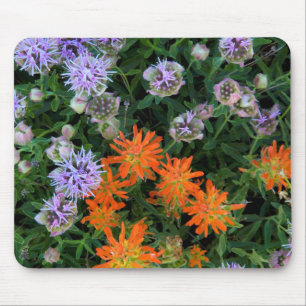 Mousepad EUA, Utah, Floresta Nacional Uinta-Wasatch-Cache 3