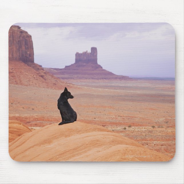 Mousepad EUA, Utah, Monument Valley, Cachorro sentado no ro (Frente)