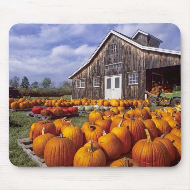 Mousepad EUA, Vermont, Shelbourne, abóboras (Frente)