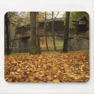 Mousepad EUA, Virgínia, Covington, Humpback Coberta