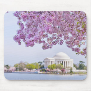Mousepad EUA, Washington DC, árvore de cereja na flor