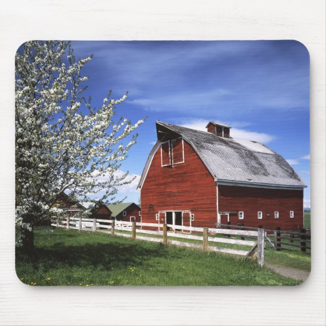 Mousepad EUA, Washington, Ellensburg, celeiro (Frente)