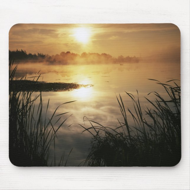 Mousepad EUA, Washington, Lopez Island, Nevoeiro da manhã e (Frente)