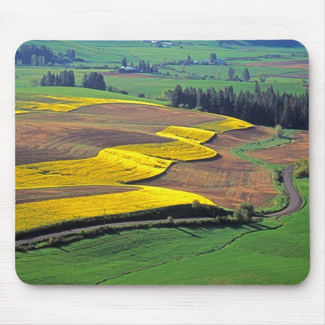 Mousepad EUA, Washington, Palouse, Whitman County 2 (Frente)