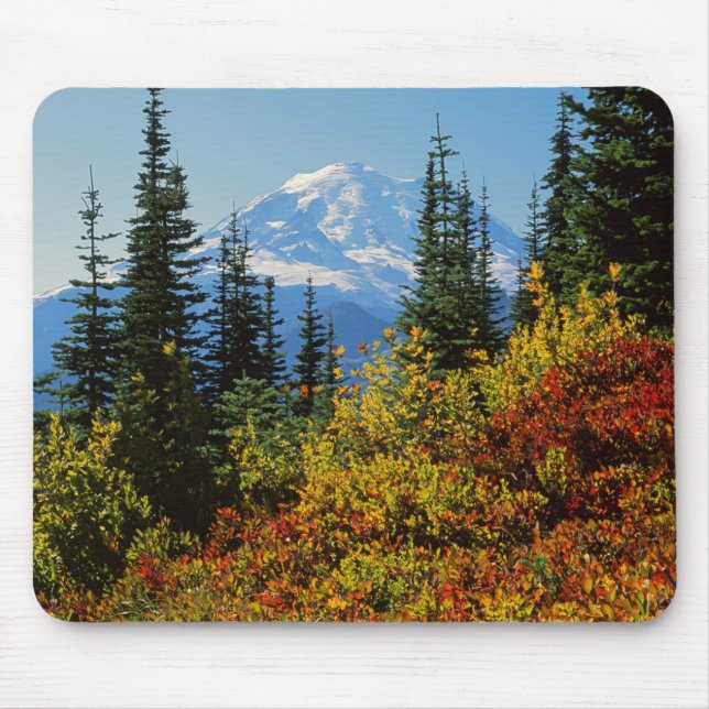 Mousepad EUA, Washington, Parque Nacional Mt. Rainier 2 (Frente)