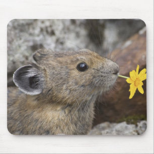 Mousepad EUA, Washington, Parque Nacional North Cascades,