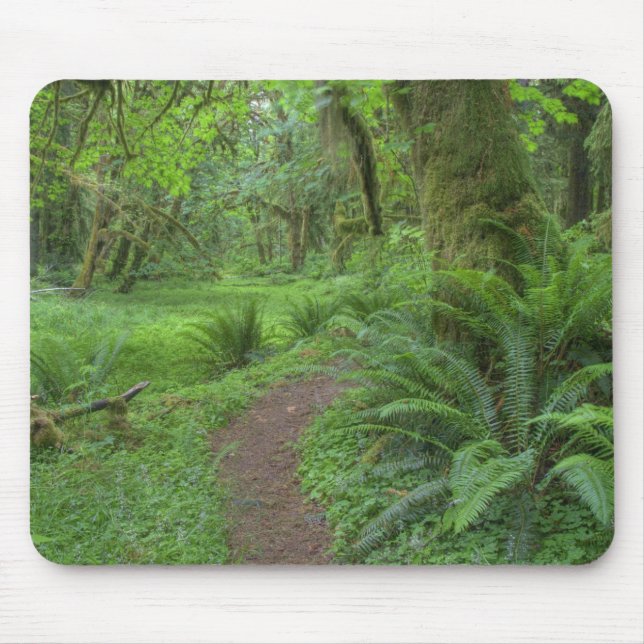 Mousepad EUA, Washington, Parque Nacional Olimpiadas, (Frente)