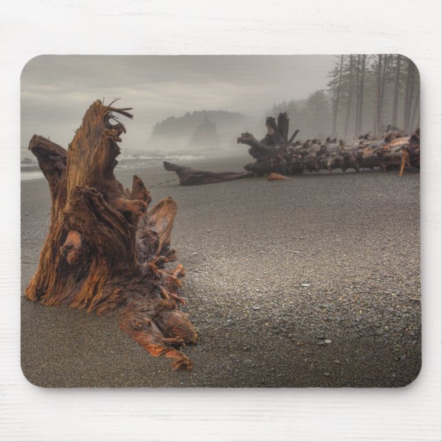 Mousepad EUA, Washington, Parque Nacional Olimpiadas, Rialt (Frente)