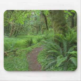 Mousepad EUA, Washington, Parque Nacional Olímpico,