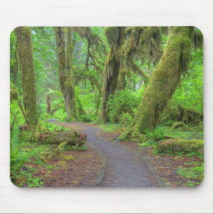 Mousepad EUA, Washington, Parque Nacional Olímpico, Hoh Rai