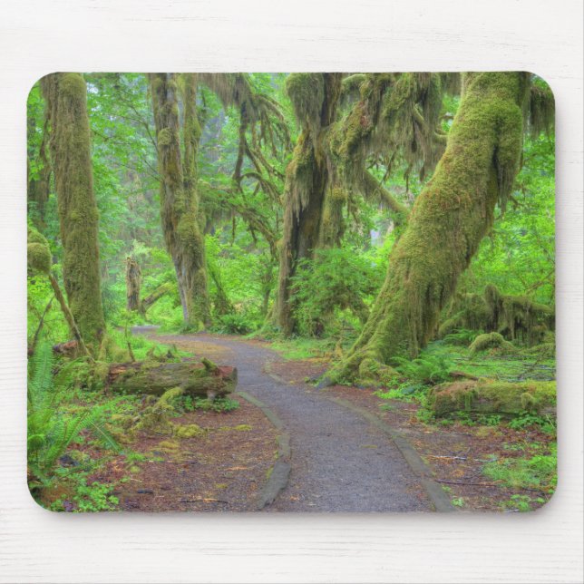 Mousepad EUA, Washington, Parque Nacional Olímpico, Hoh Rai (Frente)