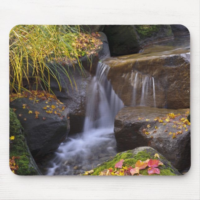 Mousepad EUA, Washington, Seattle (Frente)