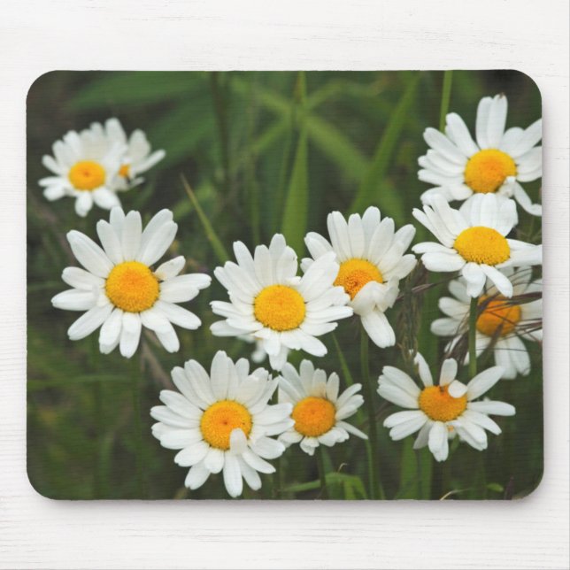Mousepad EUA, Washington, Seattle, Puget Sound 3 (Frente)