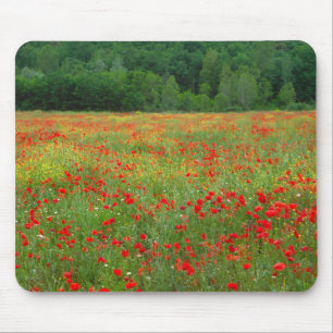 Mousepad Europa, Itália, Toscana, papoulas vermelhas no cam