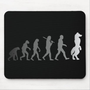 Mousepad Evolução peludo