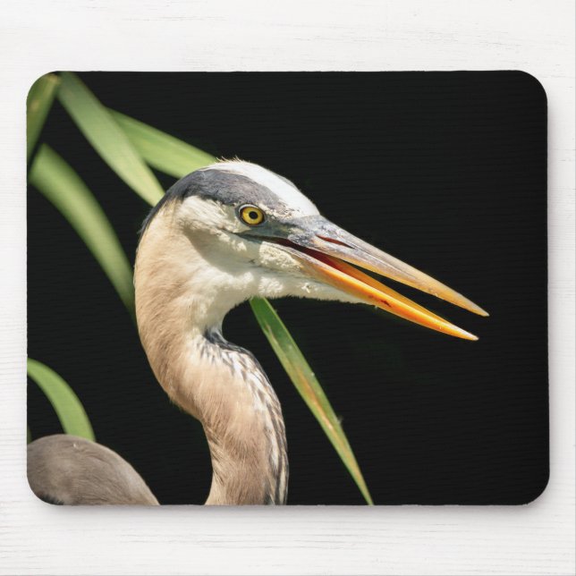 Mousepad Excelente Blue Heron (Frente)