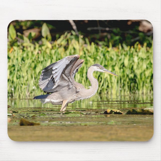 Mousepad Excelente Blue Heron (Frente)