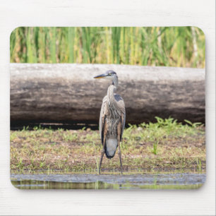 Mousepad Excelente Blue Heron no lago Champlain