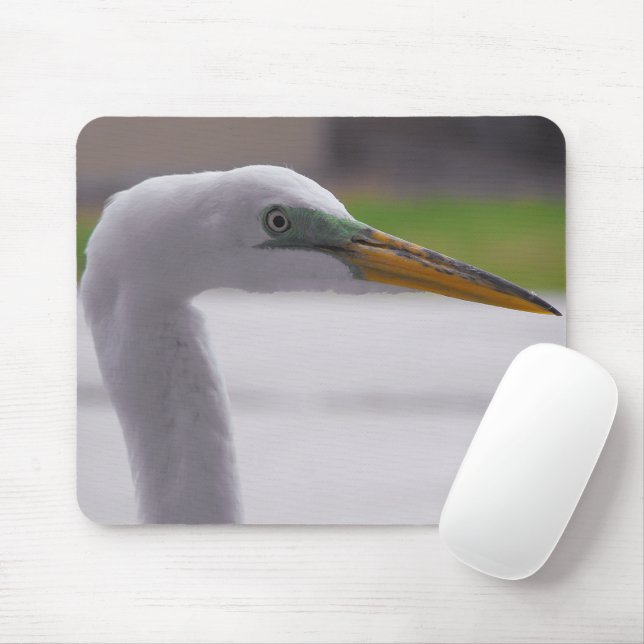 Mousepad Excelente Egret (Com mouse)