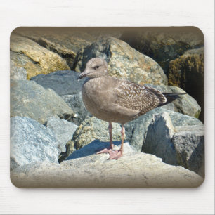 Mousepad Excelente Juvenil - Gaivota Black-Backed