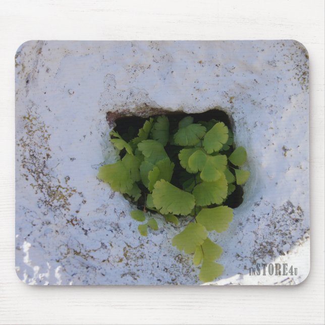 Mousepad exclusivo - parede 044 (Frente)