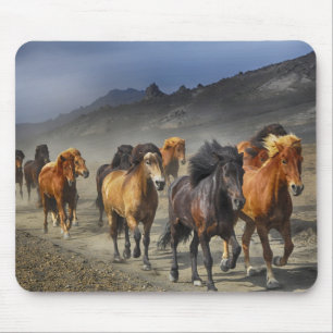 Mousepad Execução Livre