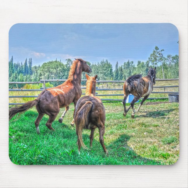 Mousepad Executando Pinto Pintor Gelding & Chestnut Stallio (Frente)