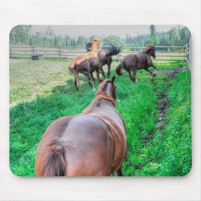 Mousepad Executando Pinto Pintor Gelding & Chestnut Stallio (Frente)