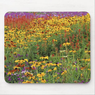 Mousepad Exibição de Flores nos Jardins de Paz Internacio