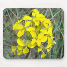 F14 Flores Silvestres Amarelas