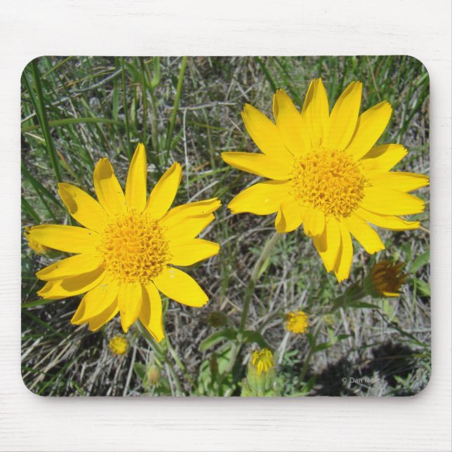 Mousepad F15 Flores Amarelas Espirradas (Frente)
