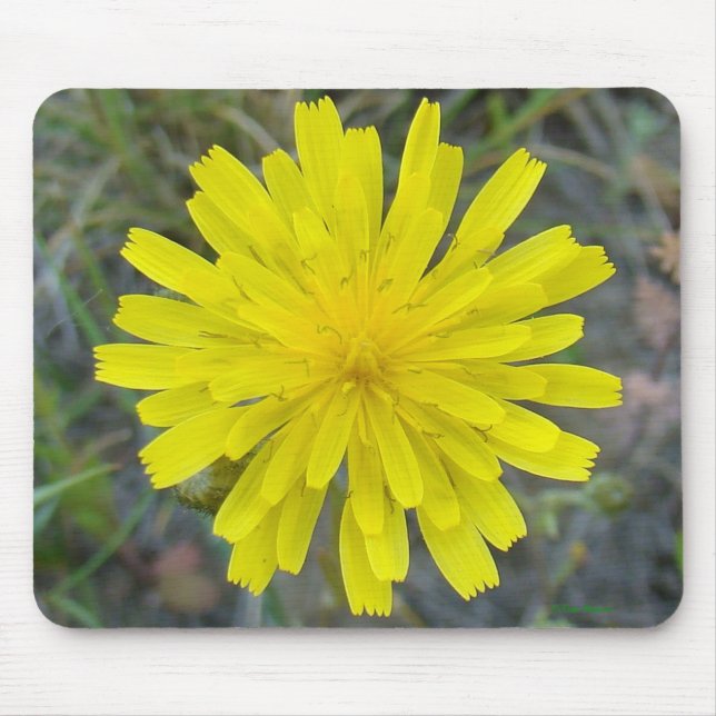 Mousepad F16 Amarelo Rei da Flor (Frente)