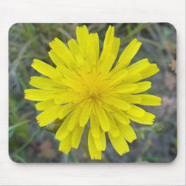 Mousepad F16 Flor Amarela Rei do Diabo