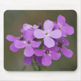 Mousepad F19 Flores Silvestres Roxas Dames Rocket