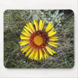 Mousepad F1 Flor Amarela Selvagem Gaillardia