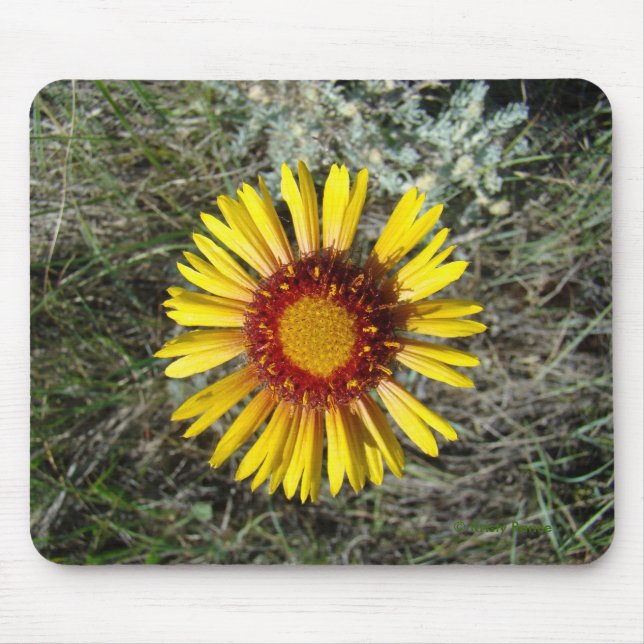 Mousepad F1 Gaillardia Amarelo (Frente)