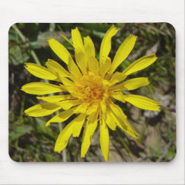 Mousepad F21 Flor Amarela de Campo Crepis Tectorum