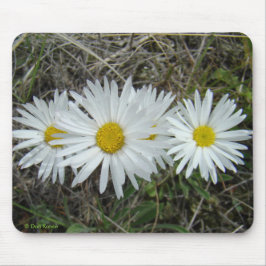 Mousepad F42 Flores Silvestres Brancas Aster Suave