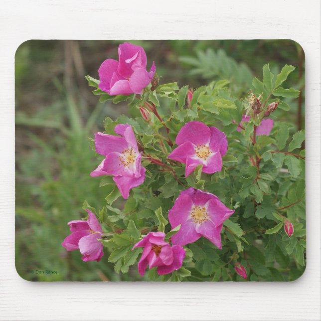 Mousepad F46 Rosas selvagens (Frente)