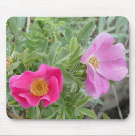 Mousepad F4 Rosas Silvestres