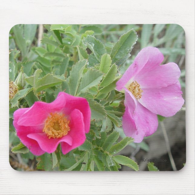 Mousepad F4 Rosas Silvestres (Frente)