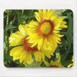 Mousepad F6 Flores Silvestres Amarelas Gaillardia