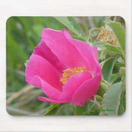 Mousepad F7 Rosa Silvestre
