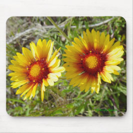 Mousepad F8 Flores Silvestres Amarelas Gaillardia