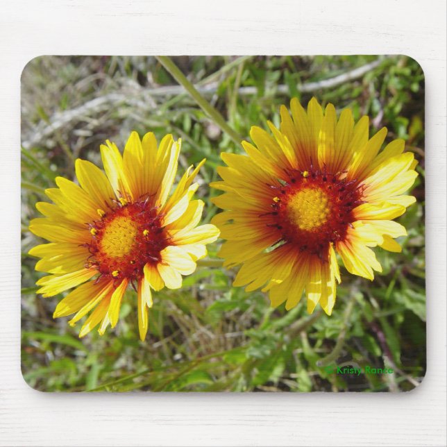 Mousepad F8 Flores Silvestres Amarelas Gaillardia (Frente)