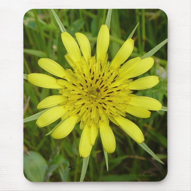 Mousepad F9 Flor Amarela Barba de Bode (Frente)