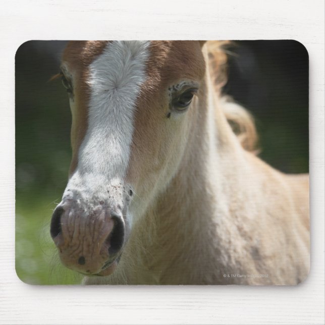 Mousepad face do potro (Frente)