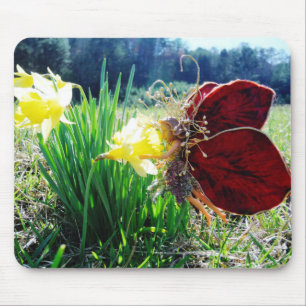 Mousepad Fada nos Daffodils