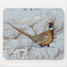 Mousepad Faisão-de-pescoço-anilado na Neve B22