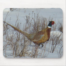 Mousepad Faisão-de-pescoço-anilado na Neve B23